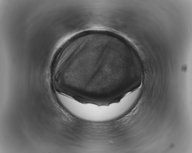 X0000098211319200805221619