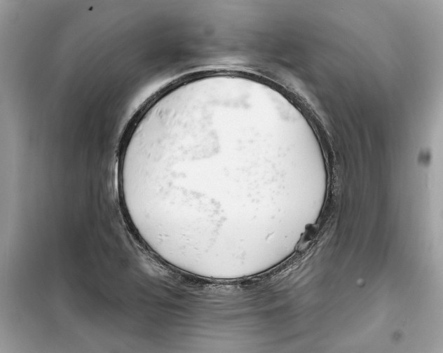 X0000098211320200805221619