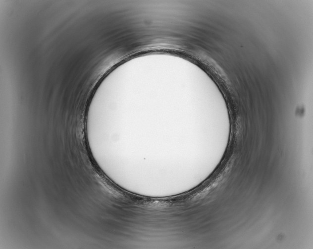 X0000098211321200805221619