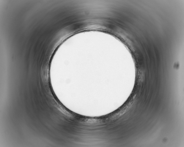 X0000098211322200805221619