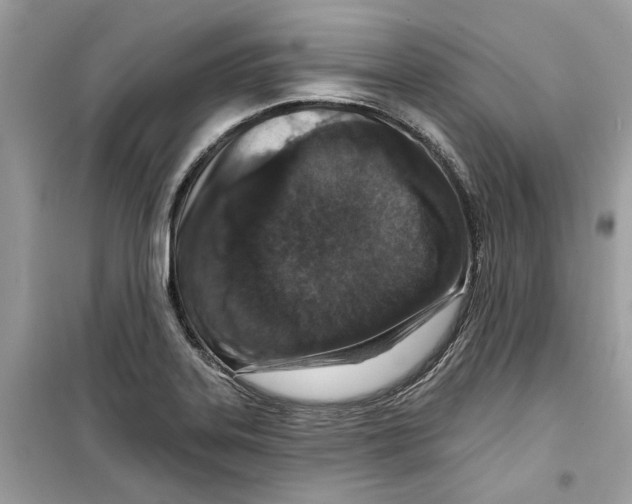 X0000098211323200805221619