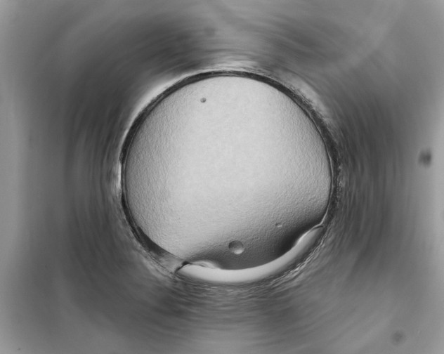 X0000098211324200805221619
