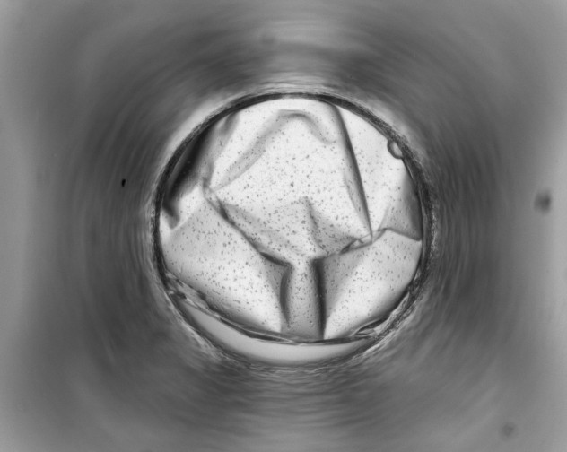 X0000098211325200805221619