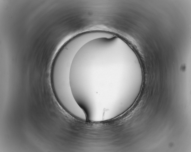 X0000098211326200805221619