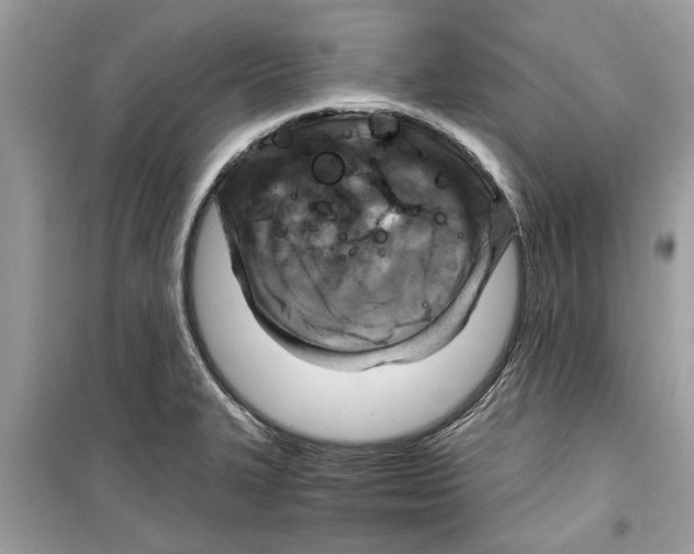 X0000098211327200805221619