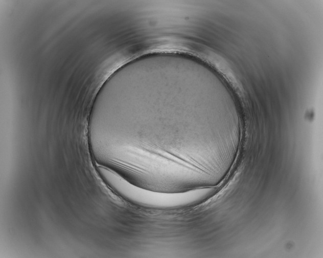 X0000098211329200805221619