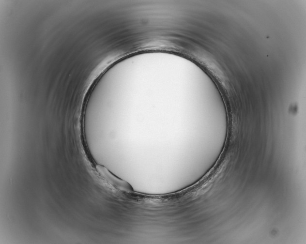 X0000098211330200805221619