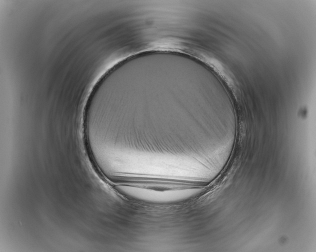 X0000098211331200805221619