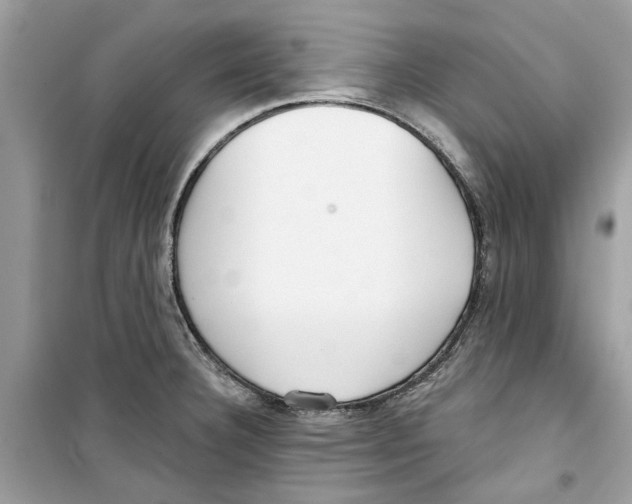 X0000098211332200805221619
