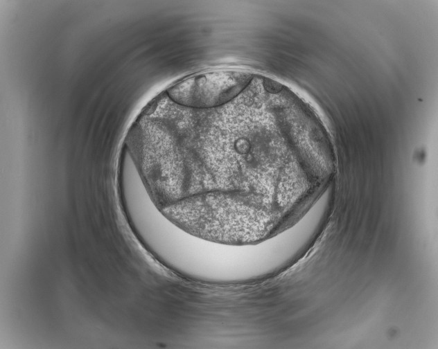 X0000098211333200805221619