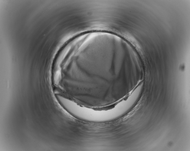 X0000098211334200805221619