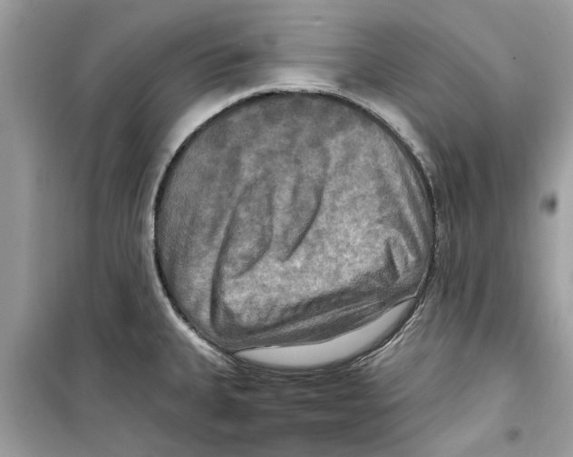 X0000098211335200805221619