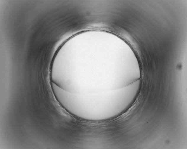 X0000098211336200805221619