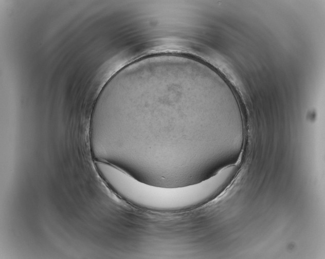 X0000098211337200805221619