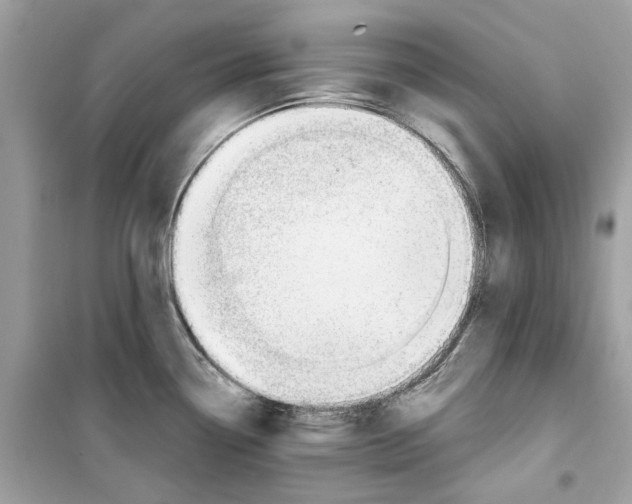 X0000098211338200805221619