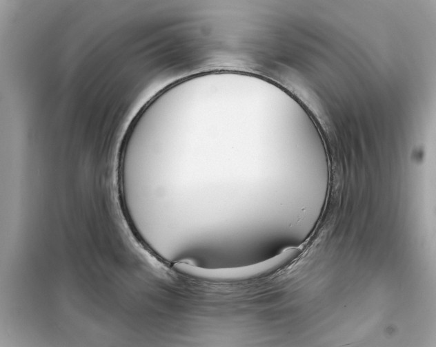 X0000098211339200805221619