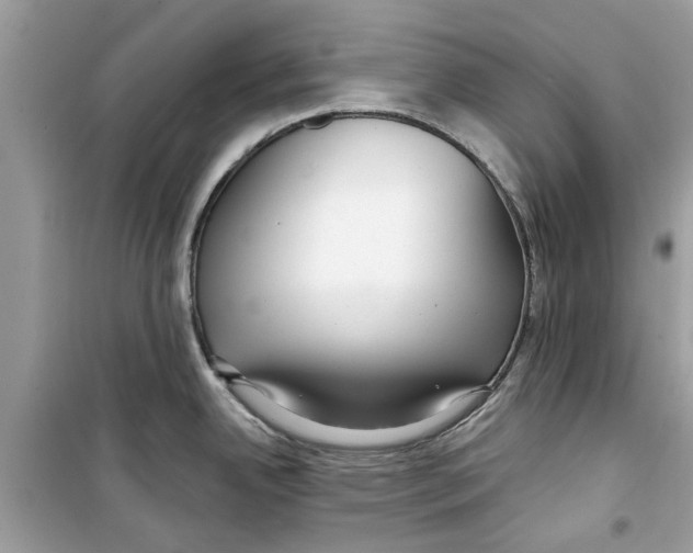 X0000098211342200805221619