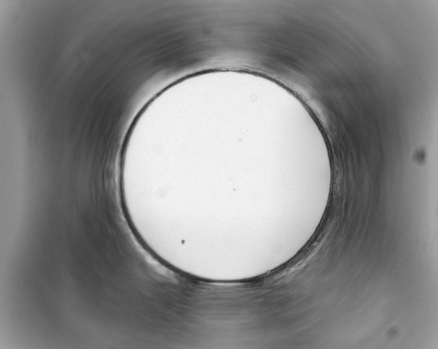X0000098211343200805221619