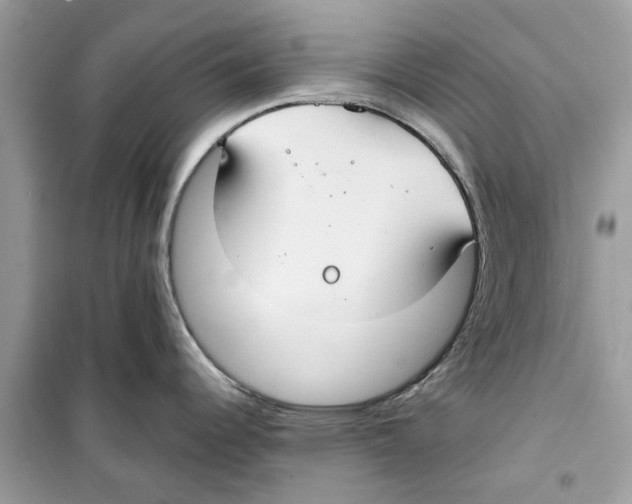 X0000098211344200805221619