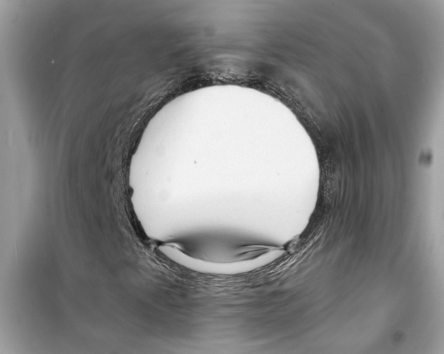 X0000098211345200805221618