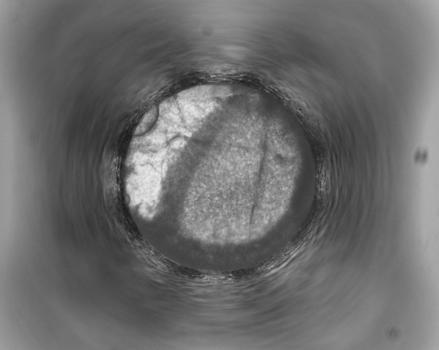 X0000098211346200805221618