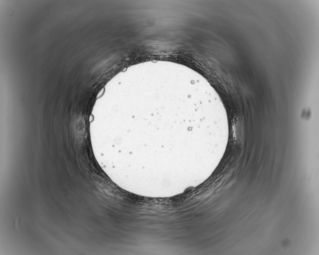 X0000098211347200805221618