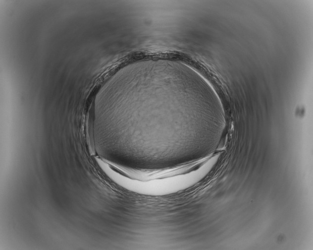 X0000098211348200805221618