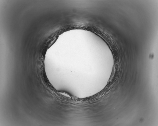 X0000098211349200805221618