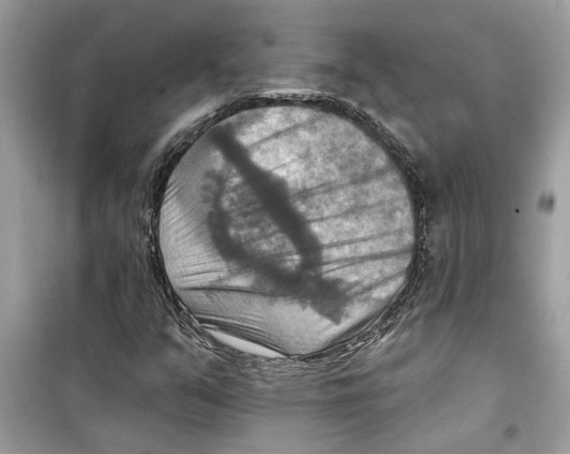 X0000098211351200805221618