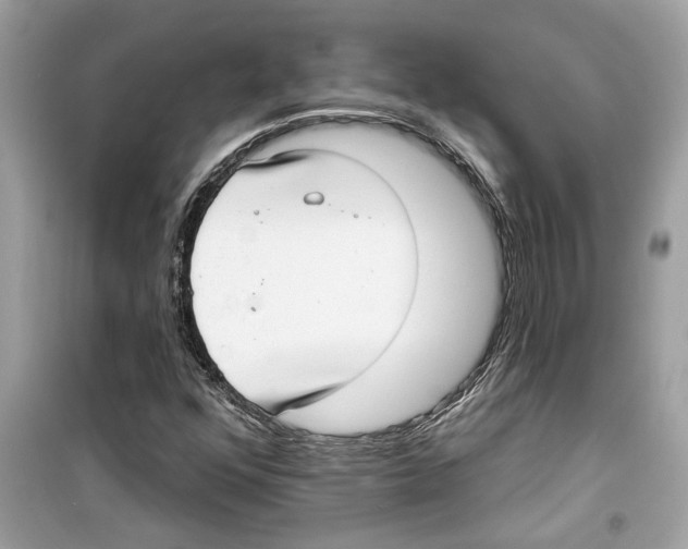 X0000098211352200805221618