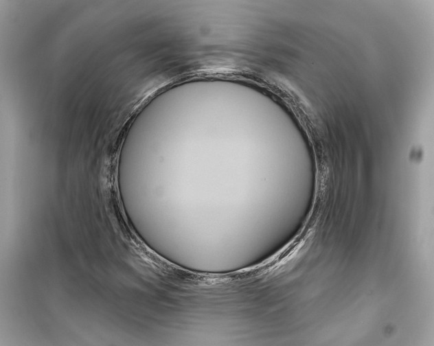X0000098211353200805221618