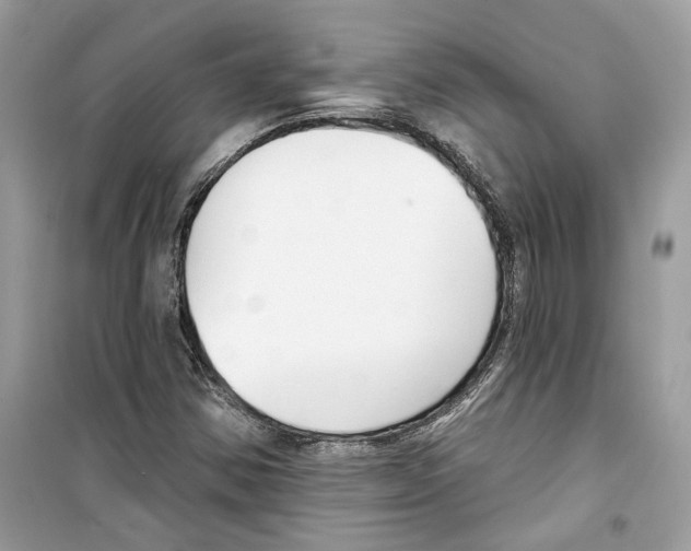 X0000098211354200805221618