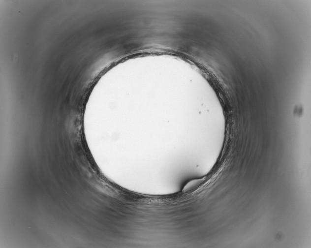 X0000098211355200805221618