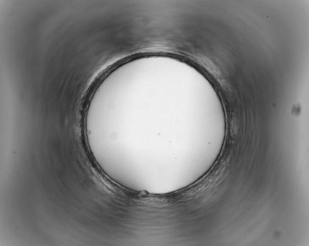 X0000098211356200805221618
