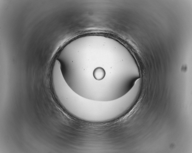 X0000098211357200805221618