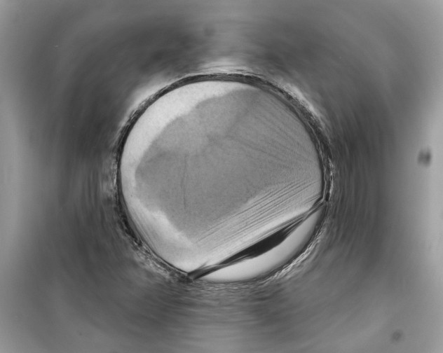 X0000098211358200805221618