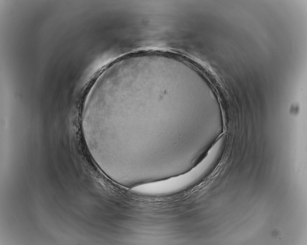 X0000098211359200805221618