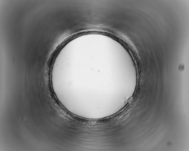 X0000098211360200805221618