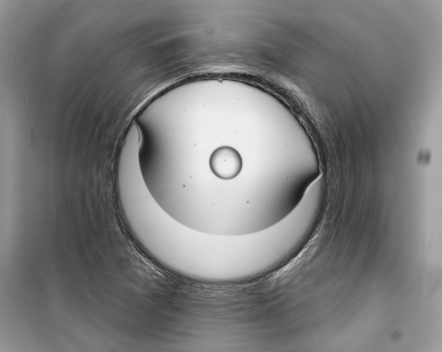 X0000098211361200805221618