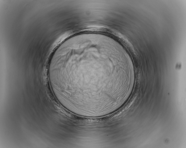 X0000098211362200805221618