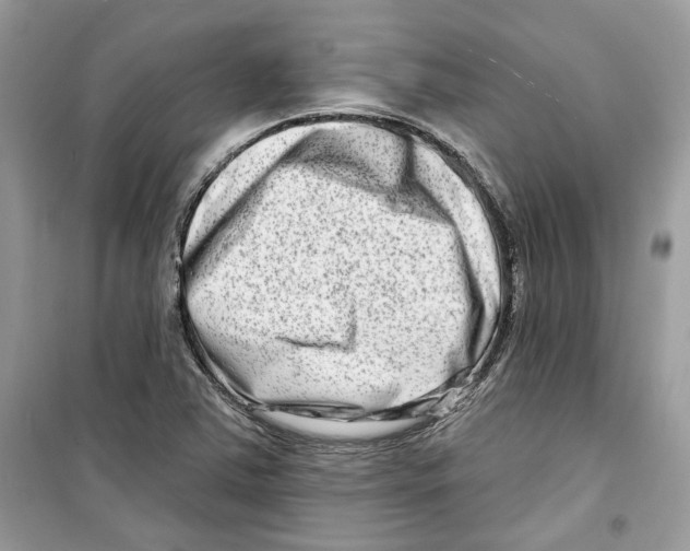 X0000098211363200805221618