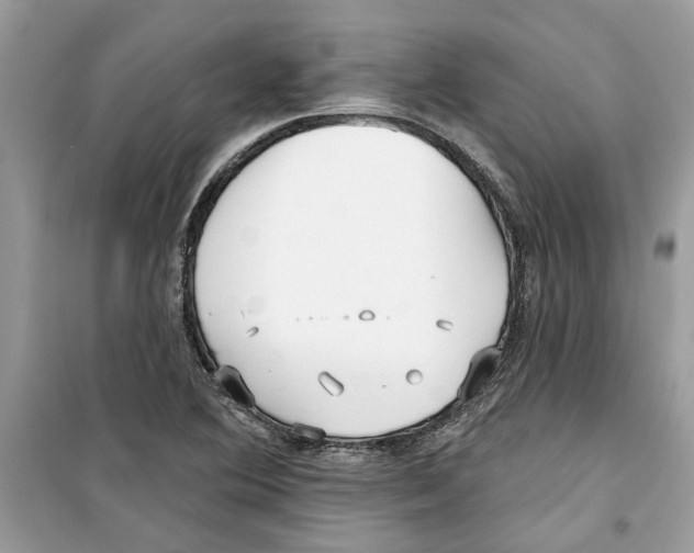 X0000098211364200805221618