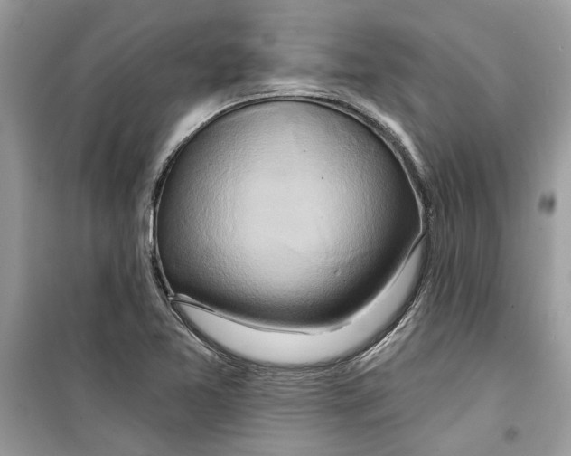 X0000098211365200805221618
