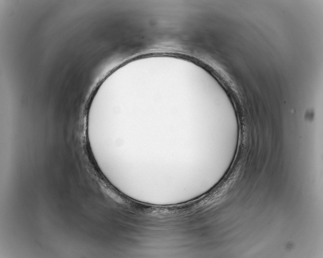 X0000098211366200805221618