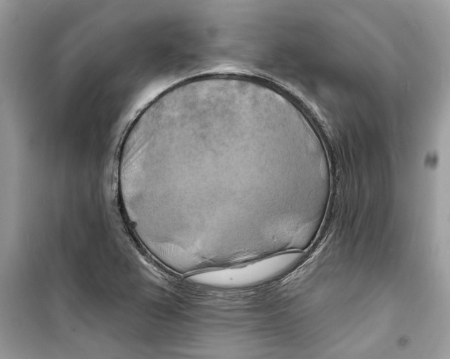 X0000098211367200805221618