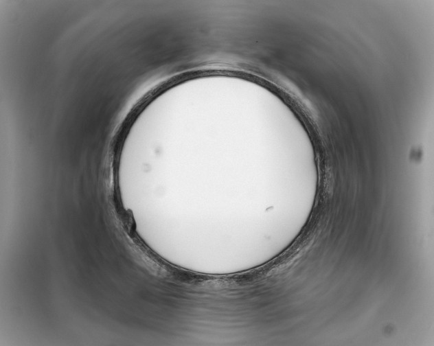X0000098211368200805221618