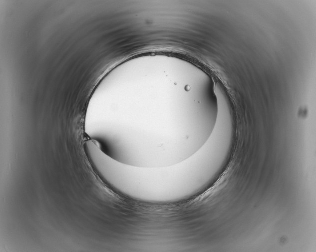 X0000098211369200805221618