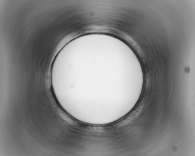 X0000098211370200805221618