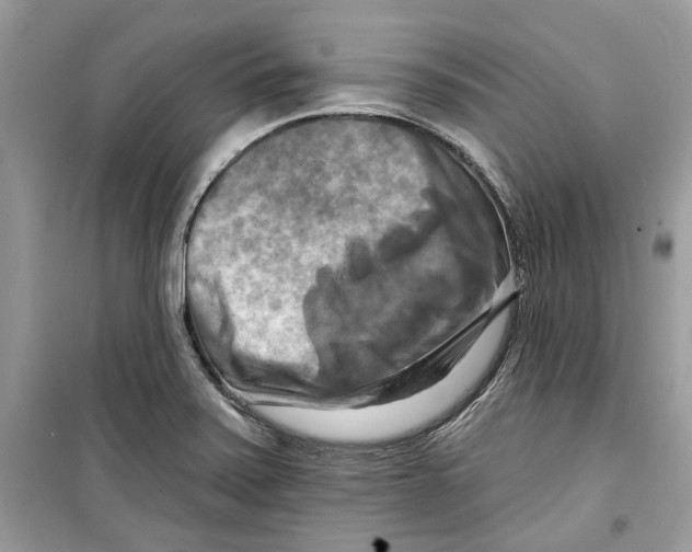 X0000098211371200805221618