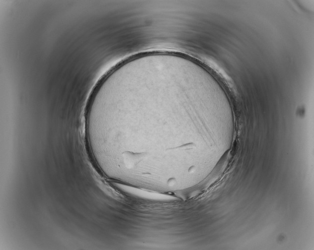 X0000098211372200805221618